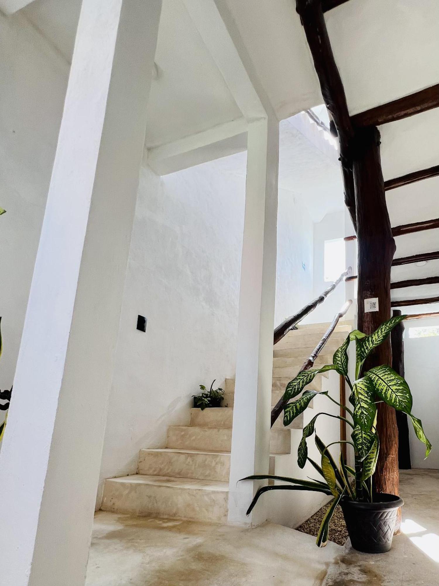 Kin Studios Holbox Exterior photo