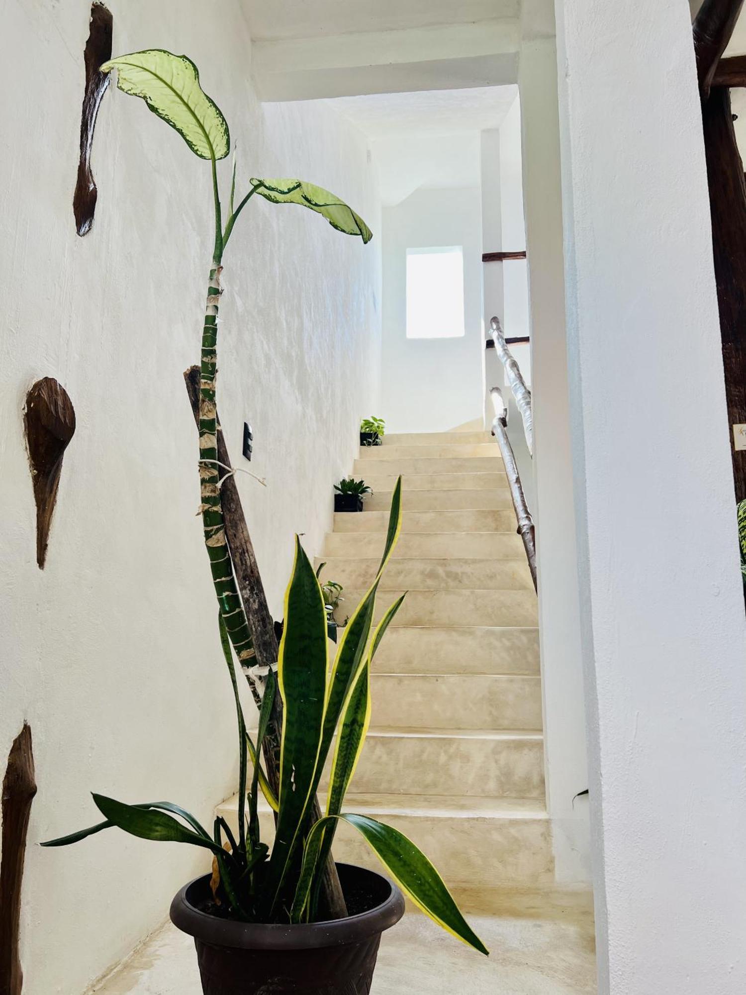 Kin Studios Holbox Exterior photo